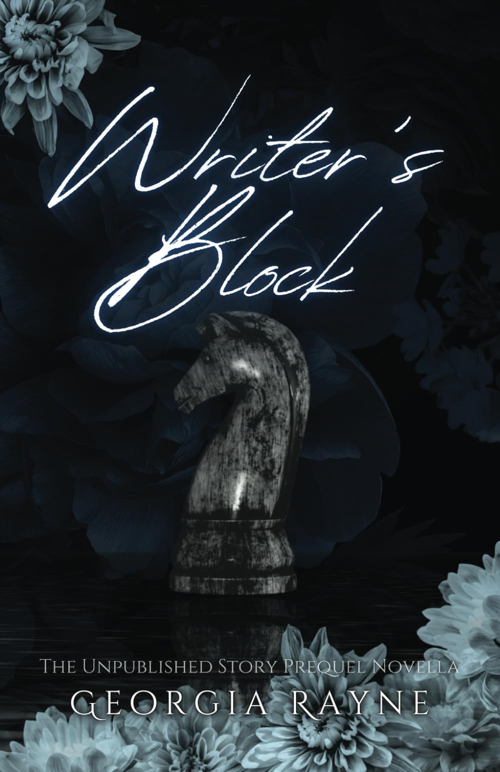 Writer's Block (The Unpublished Story)
