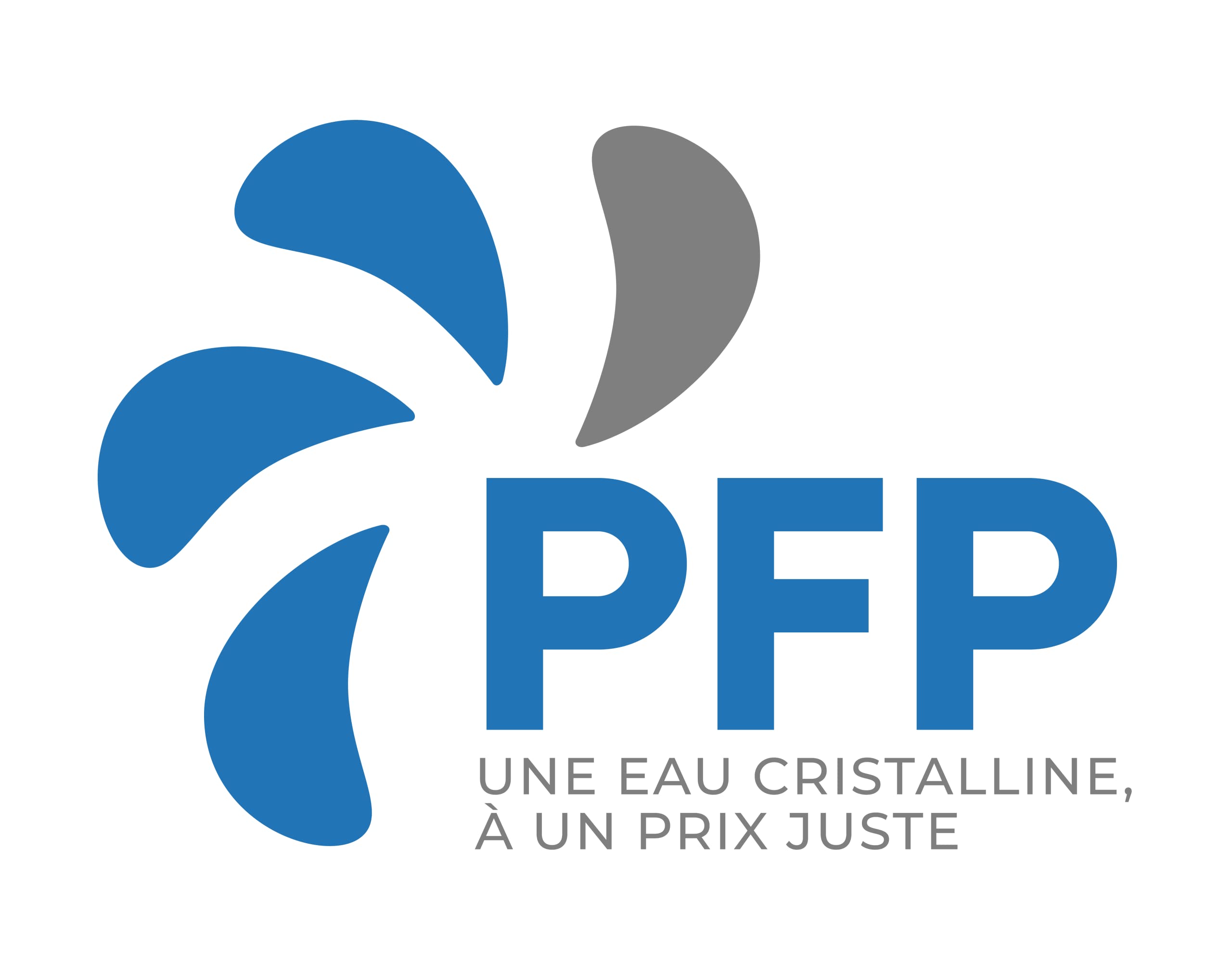 PFP Cartouche Filtrante Compatible Filtration Magiline FX30 FX40 FX50