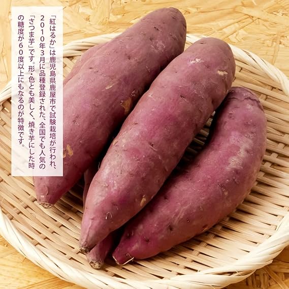 パンシラ✳︎さつまいも【紅はるか】20kg さつまいも 紅はるか20kg