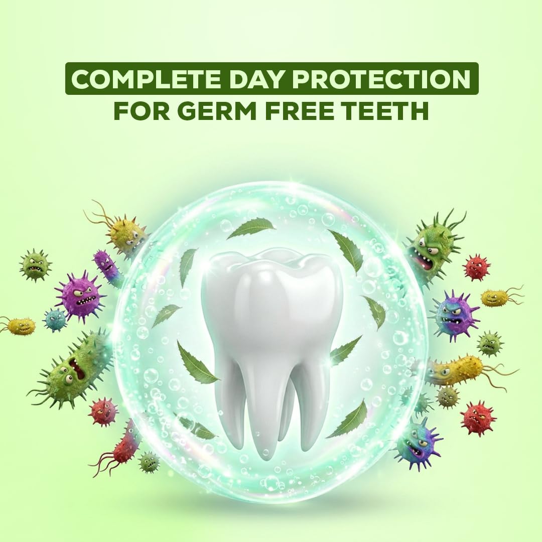 Pil Neem Plus Herbal Dental Gel | Neem toothpaste with Clove, Meswak & Babool | Promotes Fresh Breath & Keep Gum's Healthy (300g, Pack of 3) 4