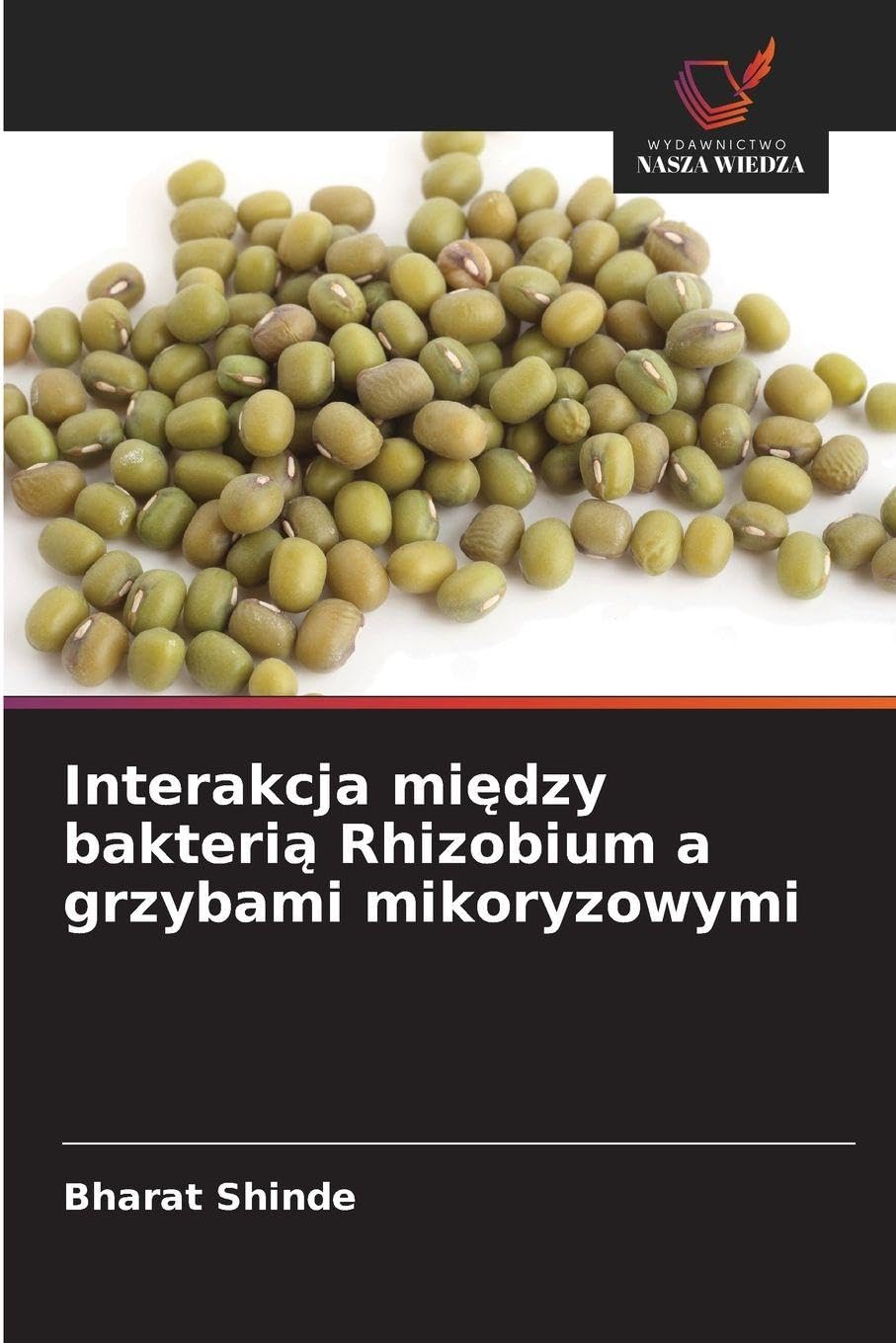 Interakcja między bakterią Rhizobium a grzybami mikoryzowymi
