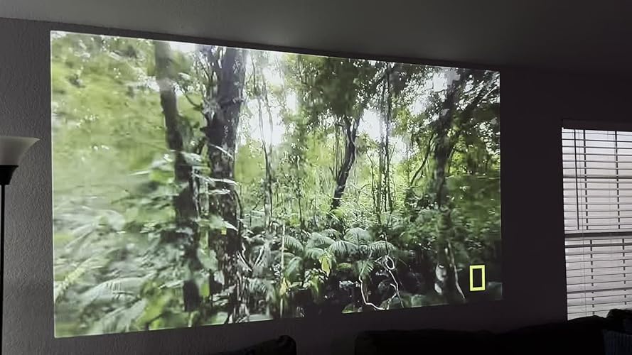 Amazon.co.jp: 【1500ANSI/公式Google TV/音声制御】プロジェクター 4K