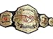 New TNA World Wrestling Championship Belt - TNA World Heavyweight Replica Title Adult Size Championship Belt 2mm