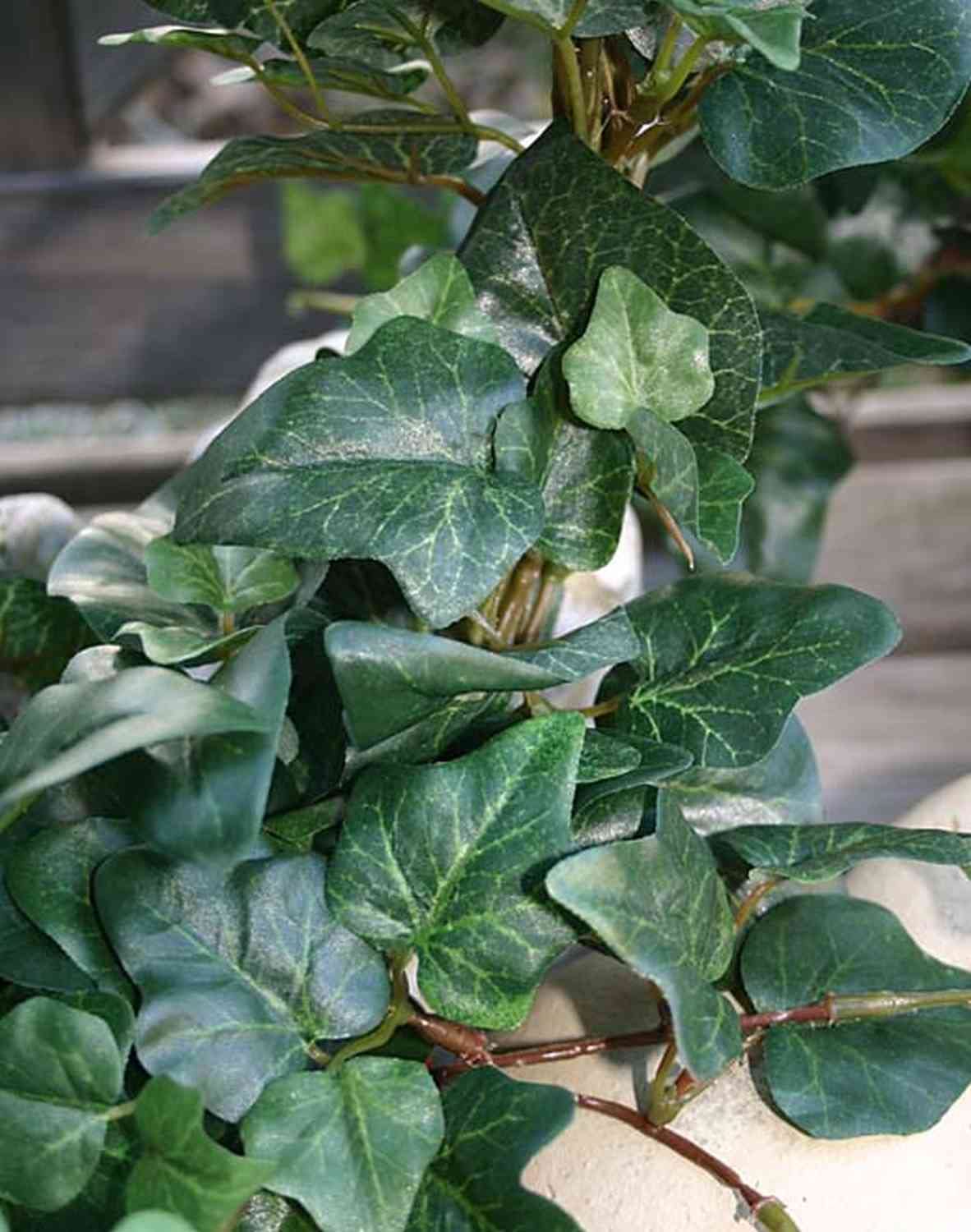 halterung für blumenkasten ohne bohren Blumenkastenhalterung verstellbar von 0,60 bis 1,00 m Edelstahl ohne Bohren main image 0