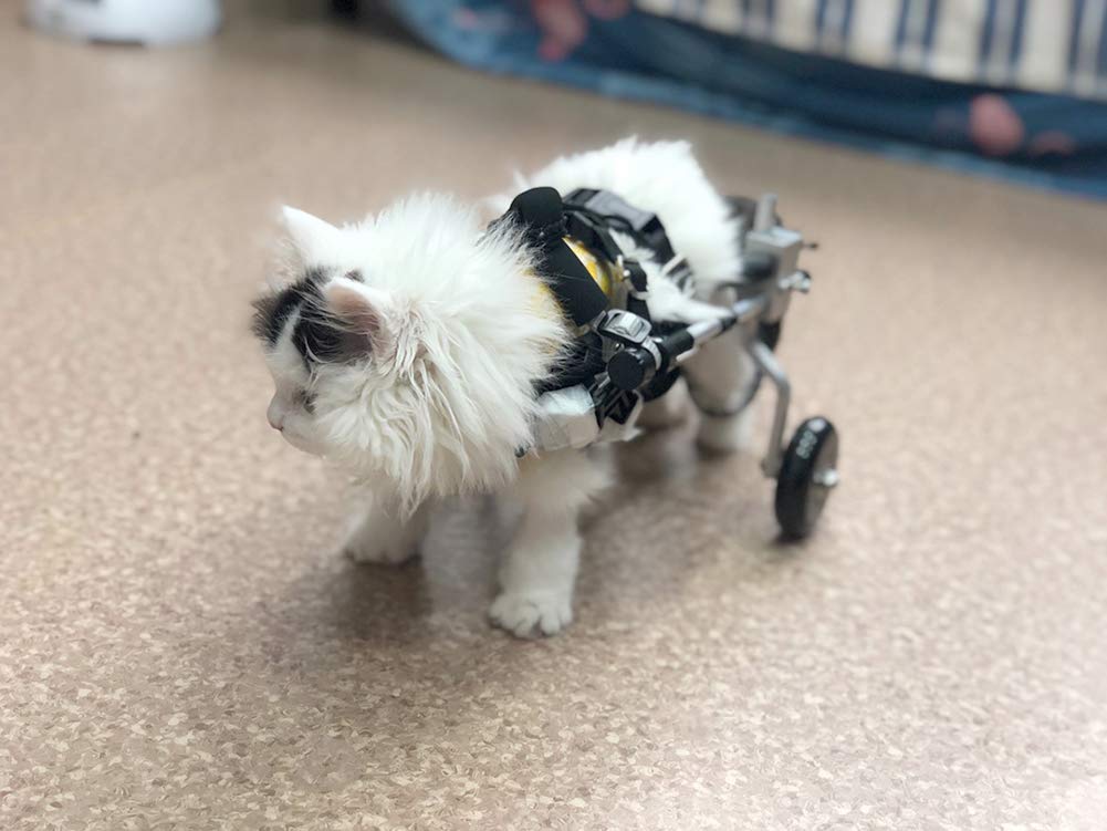 Rimorchi Passeggini Sedia a Rotelle per la Riabilitazione delle Zampe Posteriori di Cane Gatto Coniglio e Cuccioli, Carrello per Cani Anziani Feriti Disabili, Carrellino per Tutti i Cani