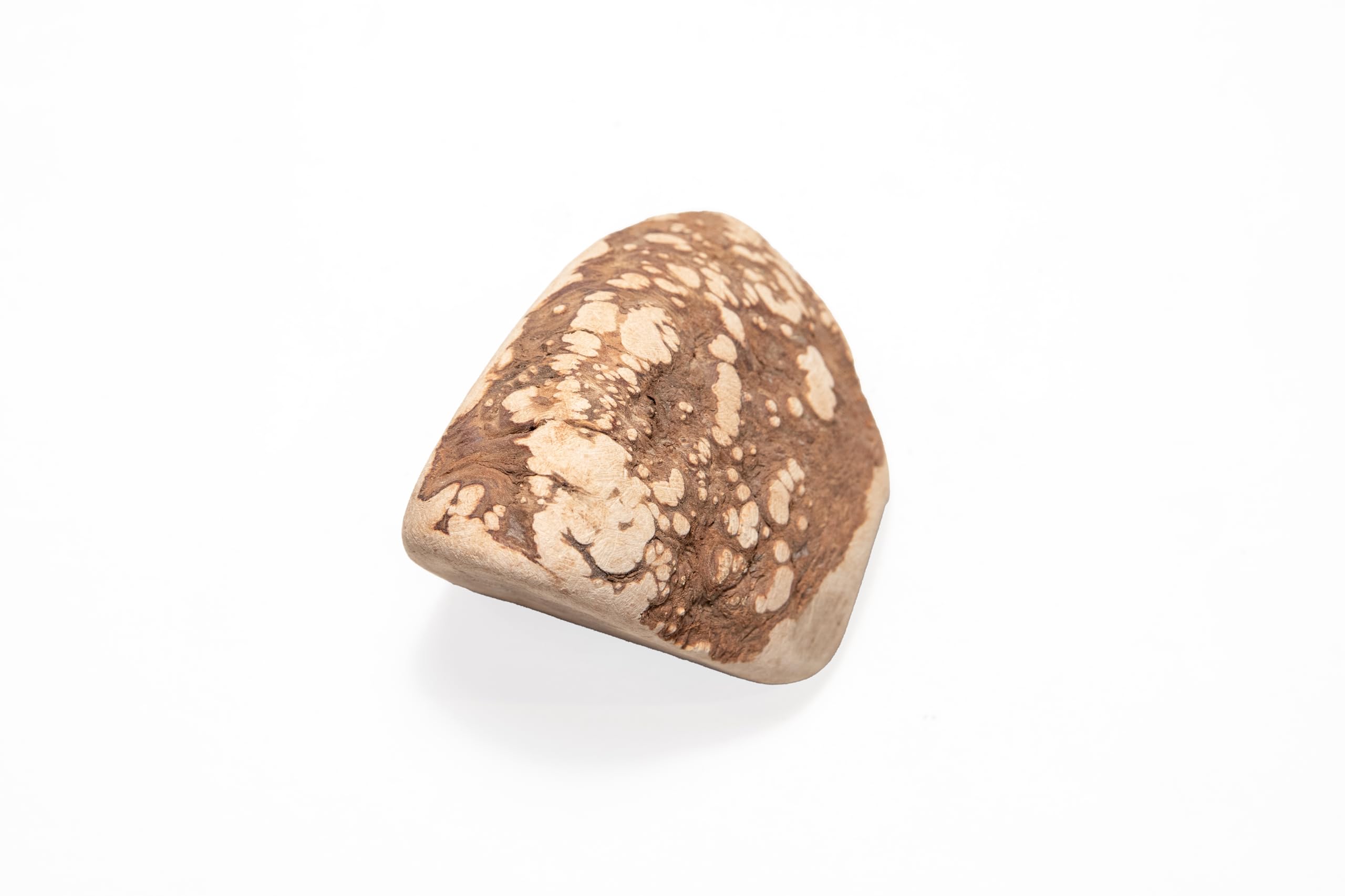 WoodWoof Masticativi Naturali per Cani - Radice di Erica M 200-400 g - Antistress, Senza Additivi, Igiene Dentale - Cani 15-25 kg