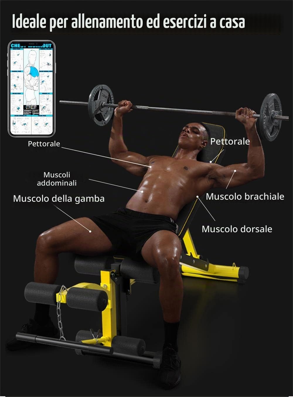 Panca pesi multiuso con estensore per le gambe - Panca regolabile in più posizioni per allenamento della forza, esercizi con manubri e allenamenti addominali