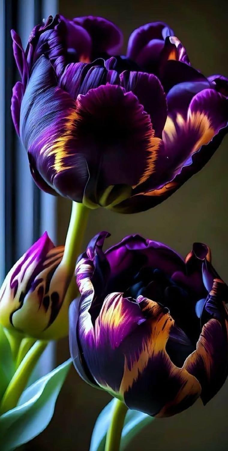 Bulbi di Tulipano | Eleganti,Nobili, Delicati- Sereni,Vivaci,Romantici, Freschi-10 bulbi-E