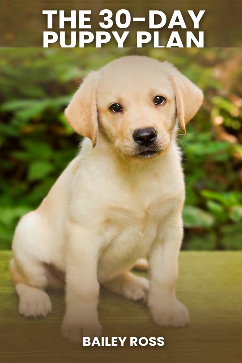 The 30-Day Puppy Plan: Your Ultimate Guide to Raising a Well-Behaved Dog