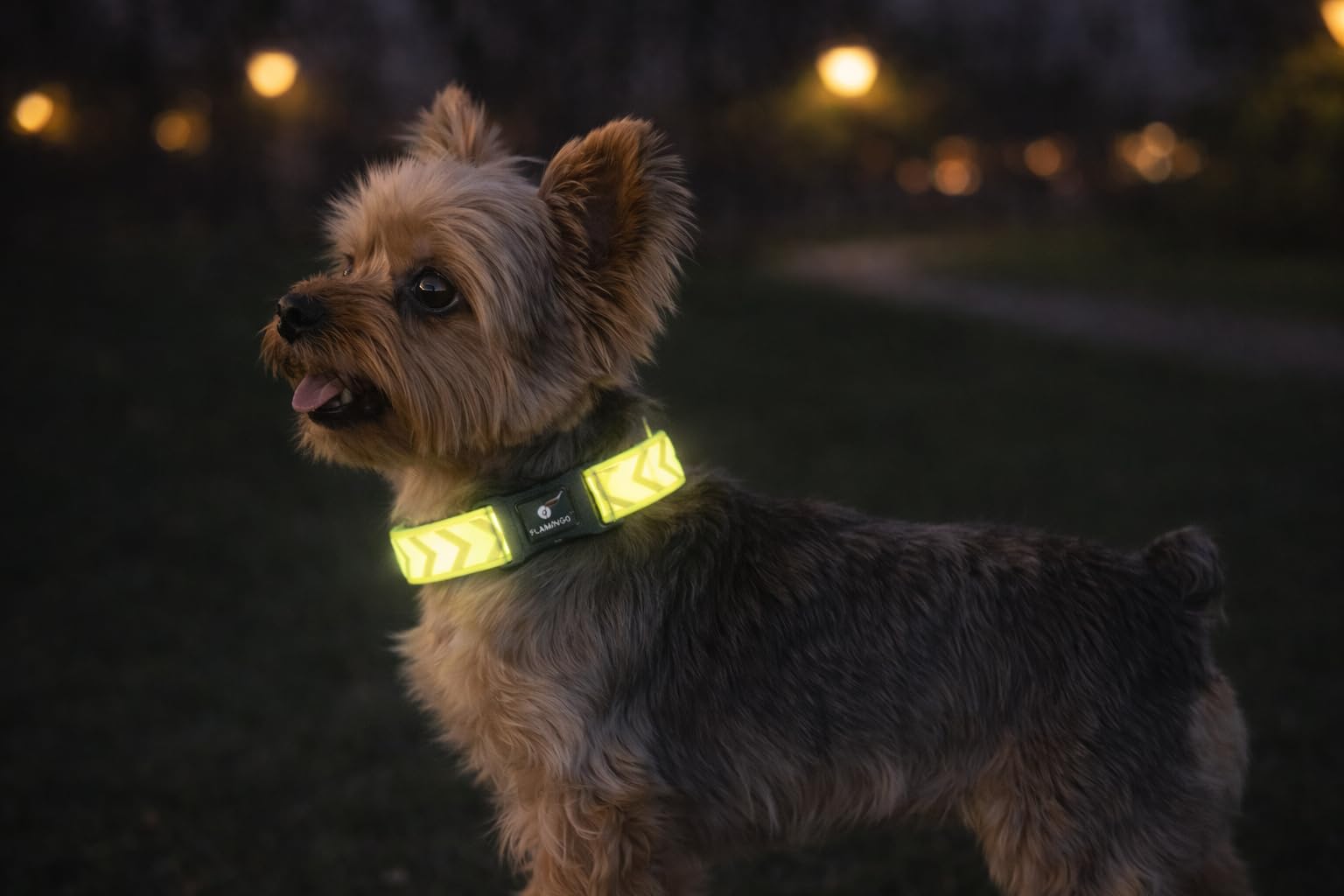 Dog Collar Fergu Fluo yellow XS 20-35cm 10mm