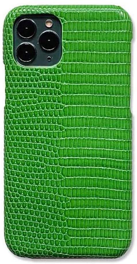Coque iPhone 12抗摔 anti rayure verte rigide SCHIK effet cuir lézard
