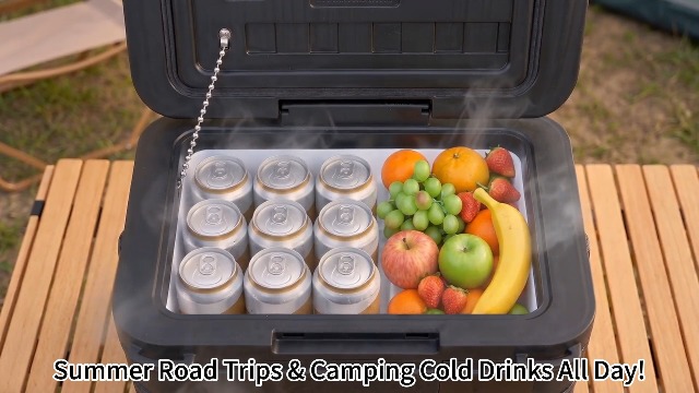 Image of 12 Volt Refrigerator, 11QT Mini Portable Car Fridge, Freezer Compressor Electric Cooler -4℉~68℉, 12 /24V DC 100-240V AC for Truck Van RV SUV Travel Camping Road Boat Trips