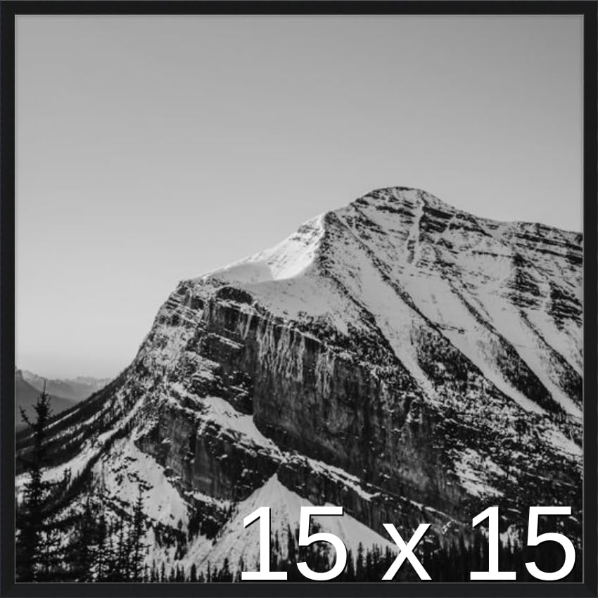 Frame It Easy 15 1/2 x 15 1/2 Satin Black Metal Frame (Ashford) 15.5x15.5 inches