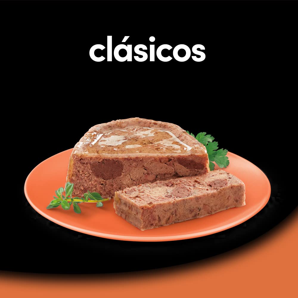 César Multipack de Bandes Alimentaires humides pour Les bretaits, sélection de Classiques (Paquet de 6 x 4 tarifs x 150g)