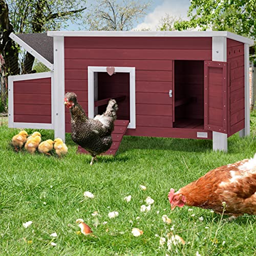 Petsfit SHW1001010RWZ2B Large Chicken Coop With Upgraded Perches, Wooden Outdoor Chicken Cage thumb #7