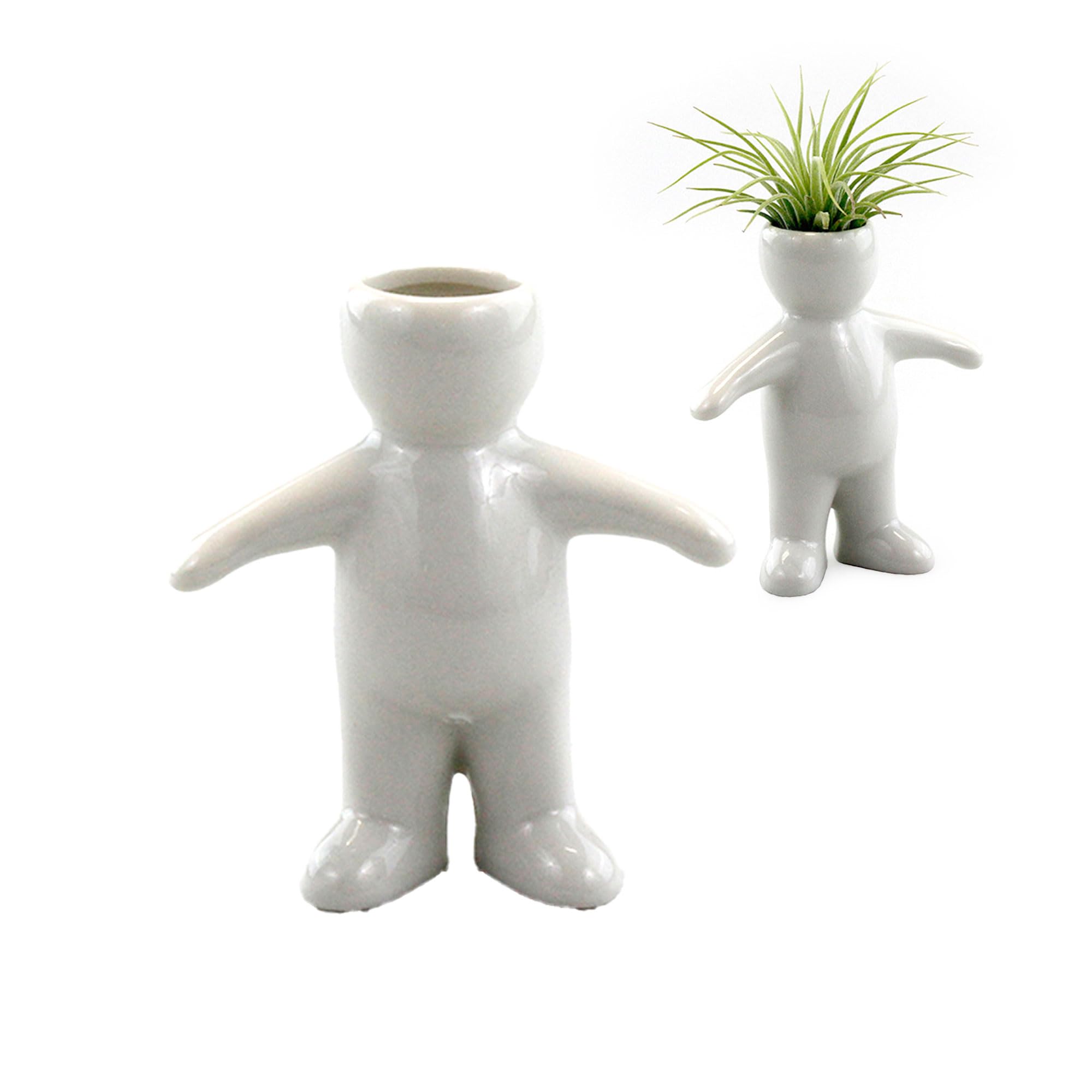 NW Wholesaler Boy Holder