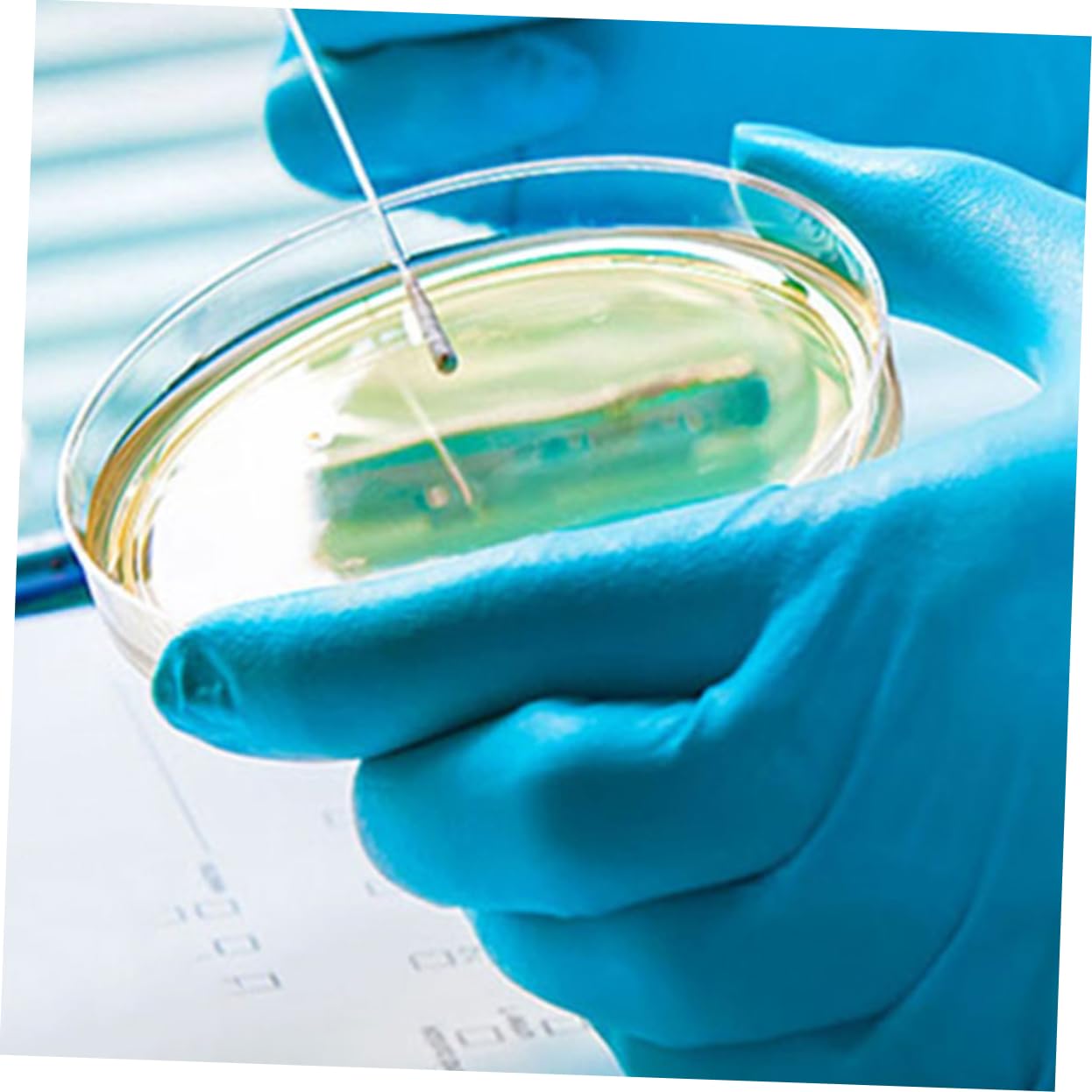 20pcs Disposable Petri Dish Culture Dishes with Lids for Science Petri Tray with Lid Chemistry Petri Dish Chemistry Petri Tray Agar Plates Lab Petri Dishes Agar Dishes Plastic VILLFUL