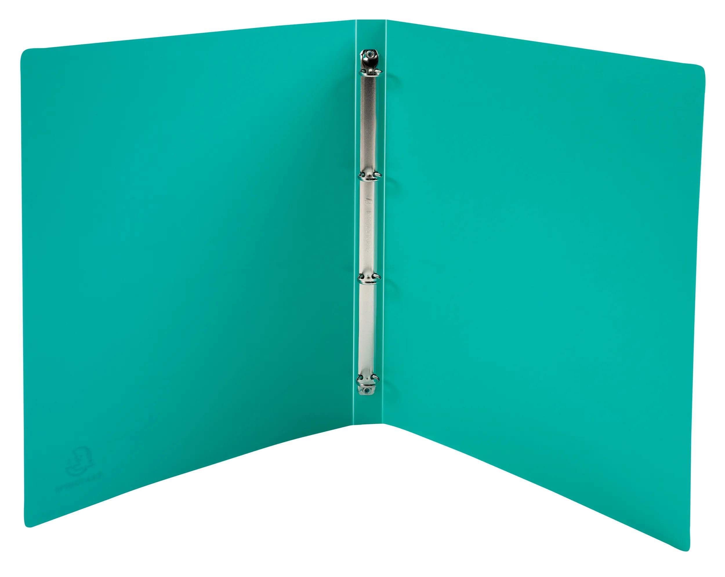 Exacompta - Nr ref. 51190E - Tektura 20 segregatorów Forever Young - 4 okrągłe pierścienie 15 mm - Tył 20 mm - Wymiary zewnętrzne : 32 x 25 cm - Format do segregacji A4 - Różne