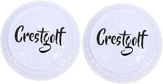 Toddmomy 2pcs Flat Golf Indoor Golf Softball Training Balls Softball Practice Balls Foam Balls Golfing Practice Balls Golfing Training Professional Practicing Balls Golfing Practicing Balls