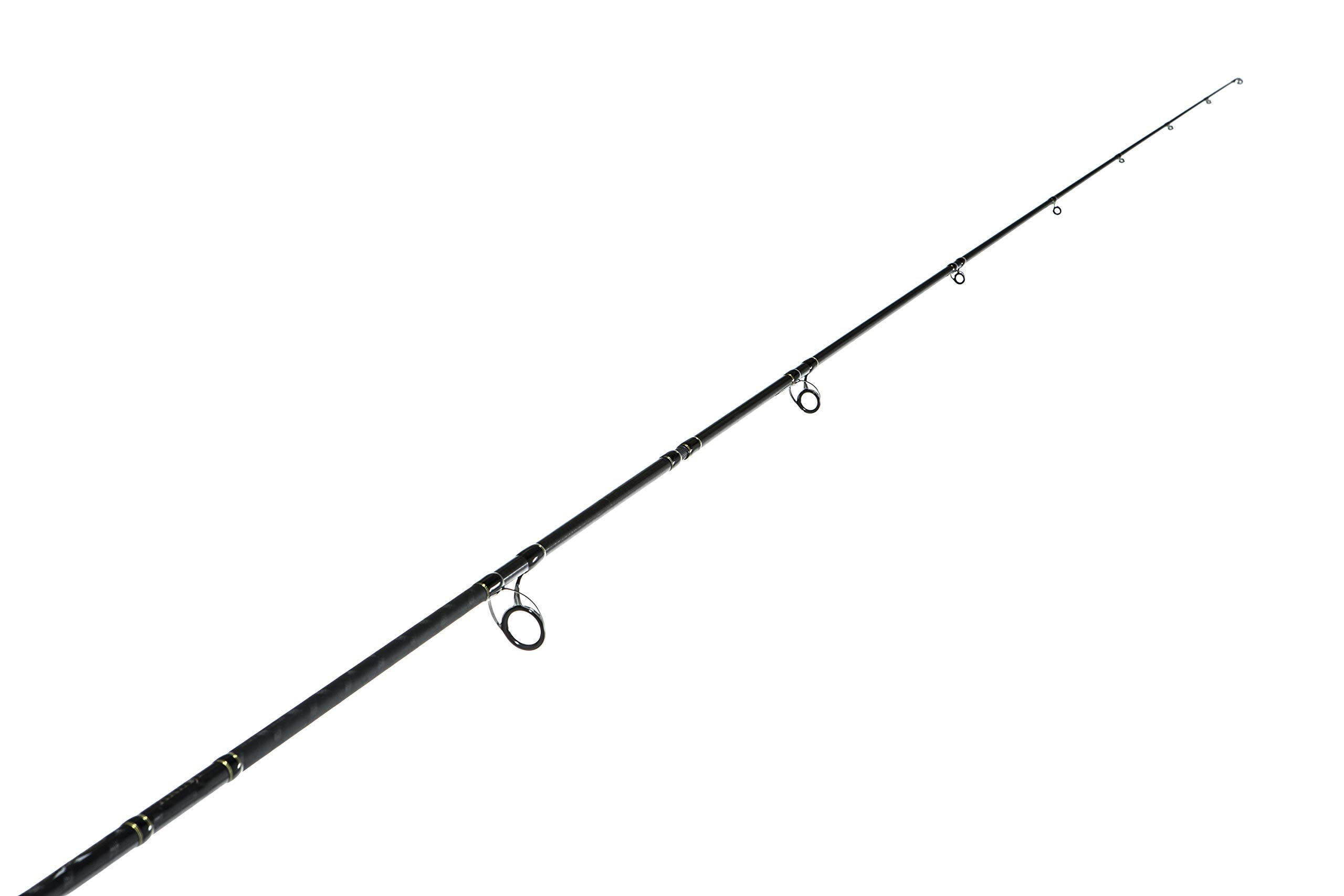 Amazon | AbuGarcia (アブガルシア) ノースフィールド アキアジ