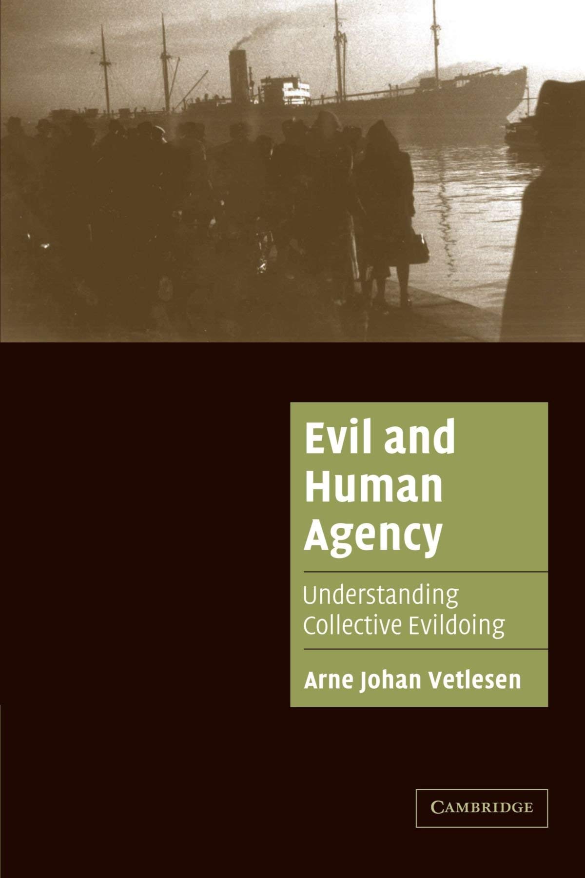 Evil and Human Agency: Understanding Collective Evildoing (Cambridge Cultural Social Studies)