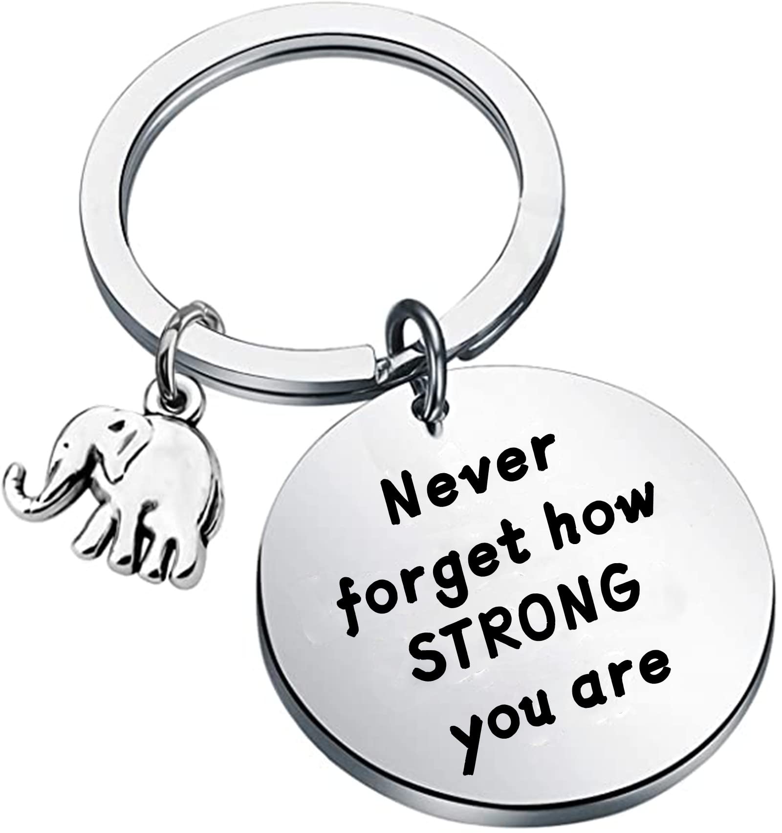 xyqcyInspirational Gift Elephant Gift Elephant Keychain Never Forget How Strong You Are Keyring Birthday Graduation Christmas Thanksgiving Day Gift For Friend Family Animal Lovers jewelry
