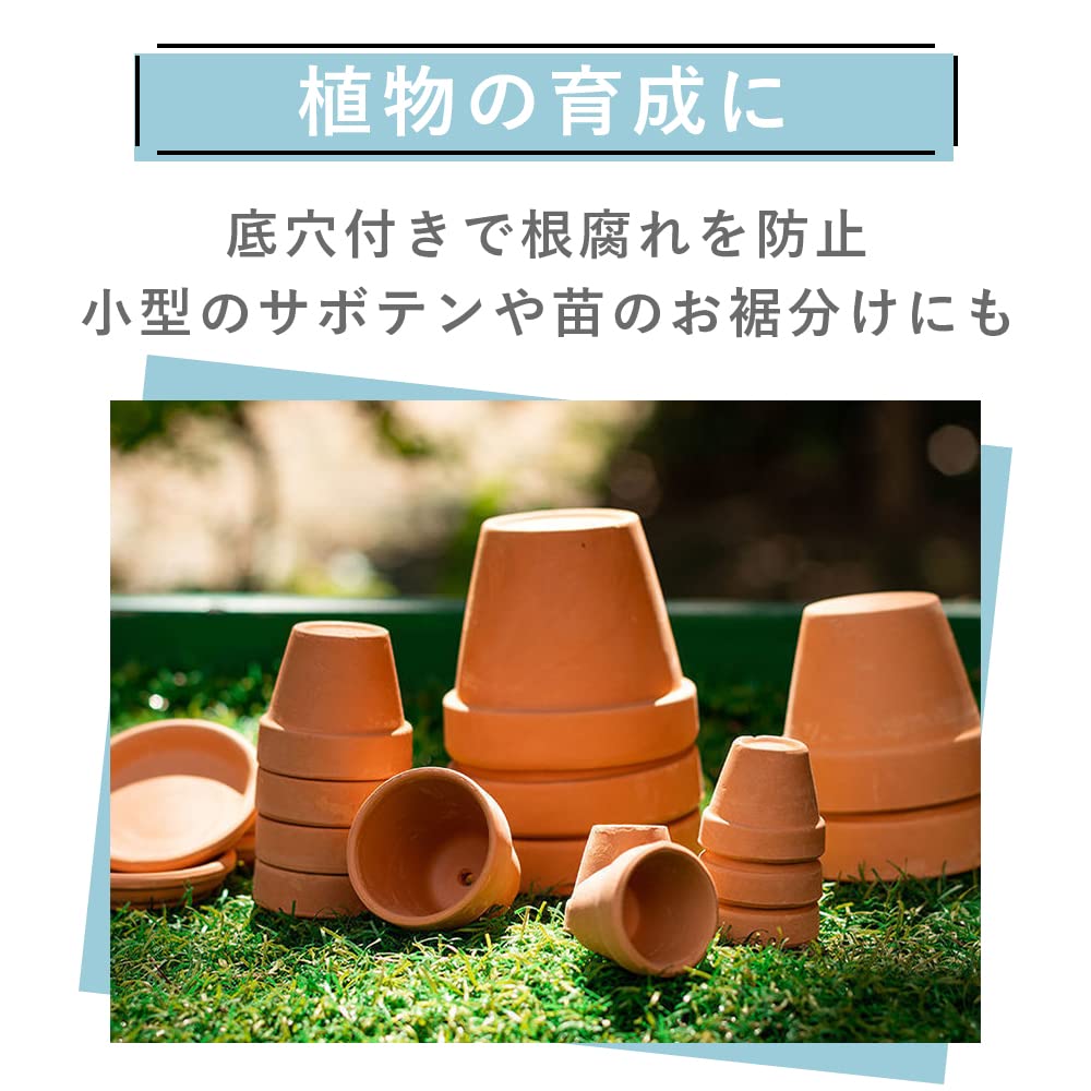 Amazon.co.jp: TKY 植木鉢 陶器鉢 多肉植物鉢 観葉植物 多肉植物 ミニ
