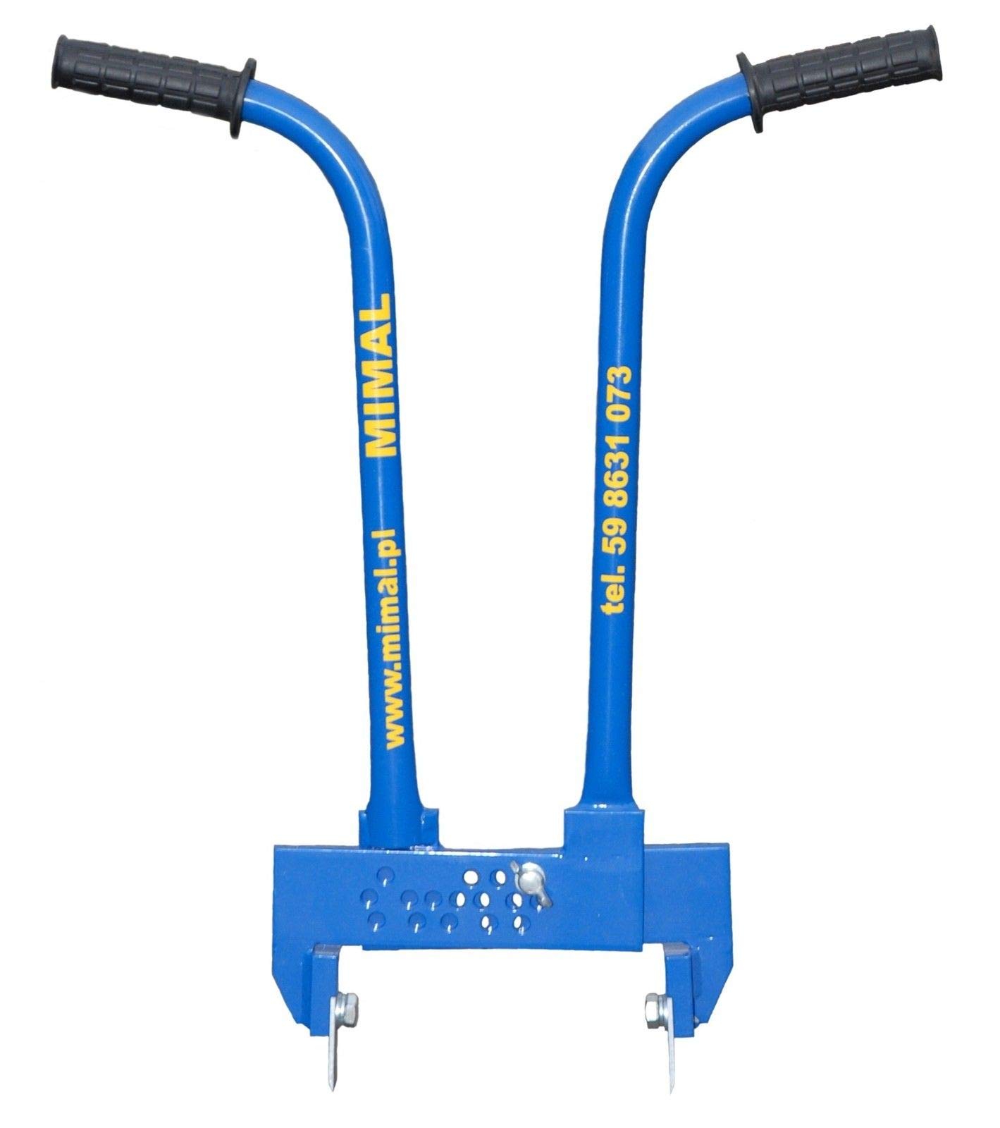 IBR01