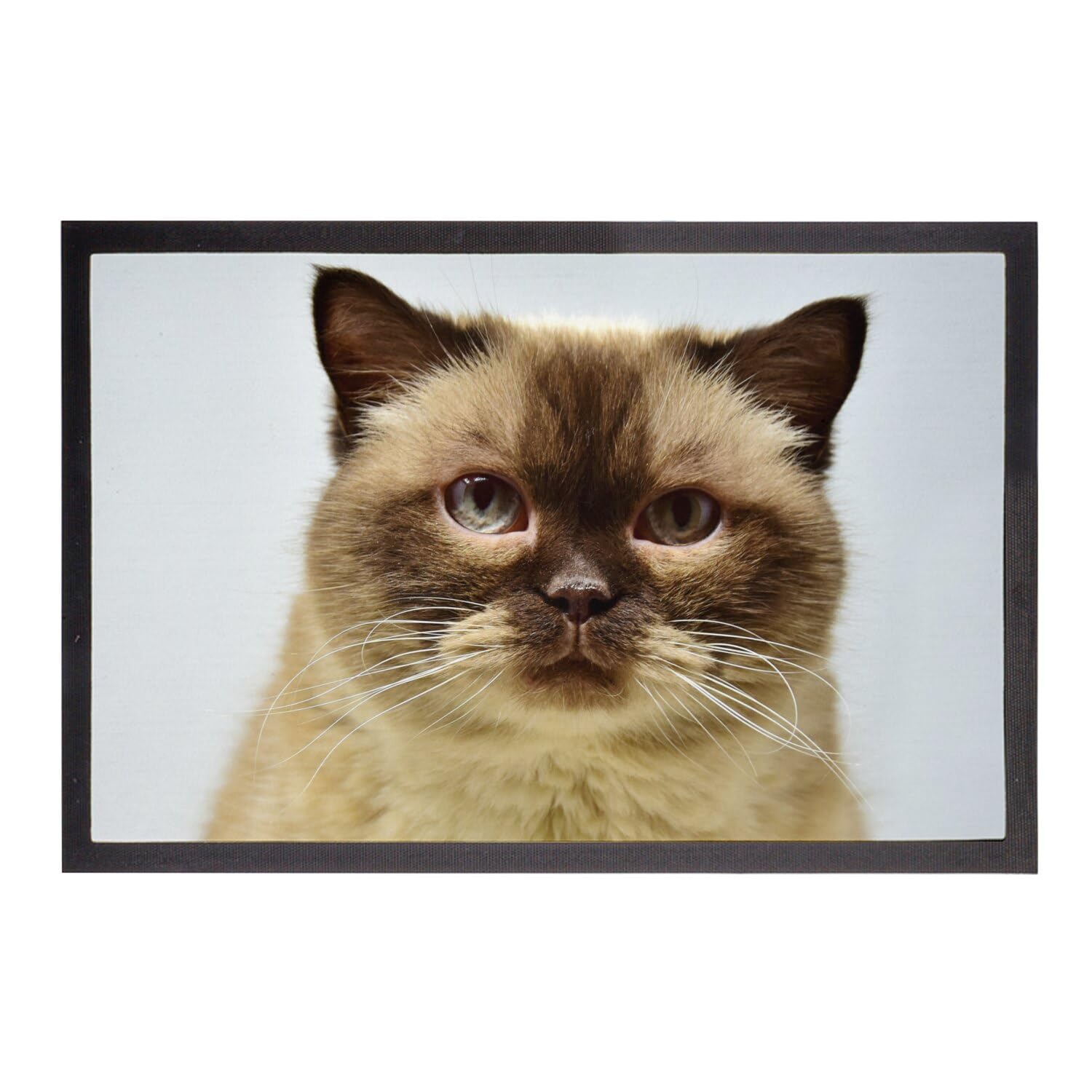 Paillasson chat aux yeux bleus aux finitions soignées et au design portrait magnifique