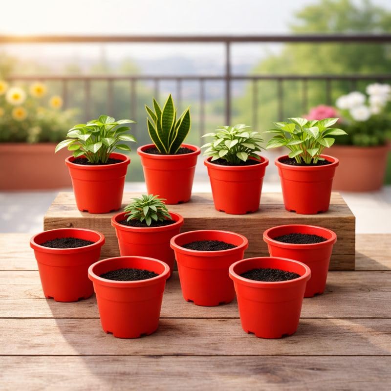 Image of Indian Gardens - 4 inch Indoor (Pack of 10) Plastic Small Colour pots | Plastic Plant Pot for Terrace Garden (Red)