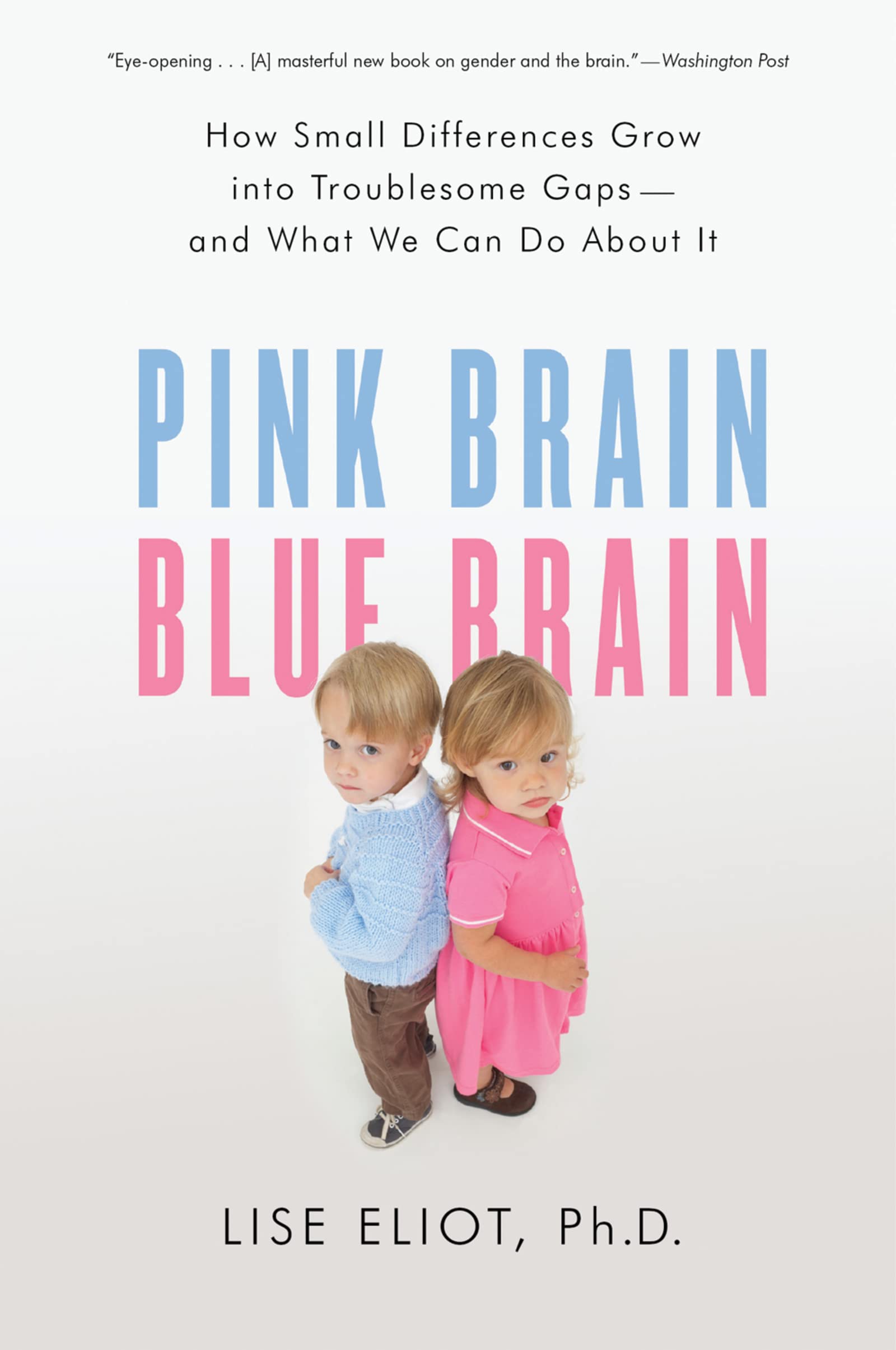Pink Brain, Blue Brain: How Small Differences Grow Into Troublesome Gaps -- And What We Can Do About It cover