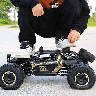 carro radio control xpider raptor