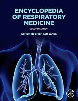 61l8qxw1h1L._AC_UF350,