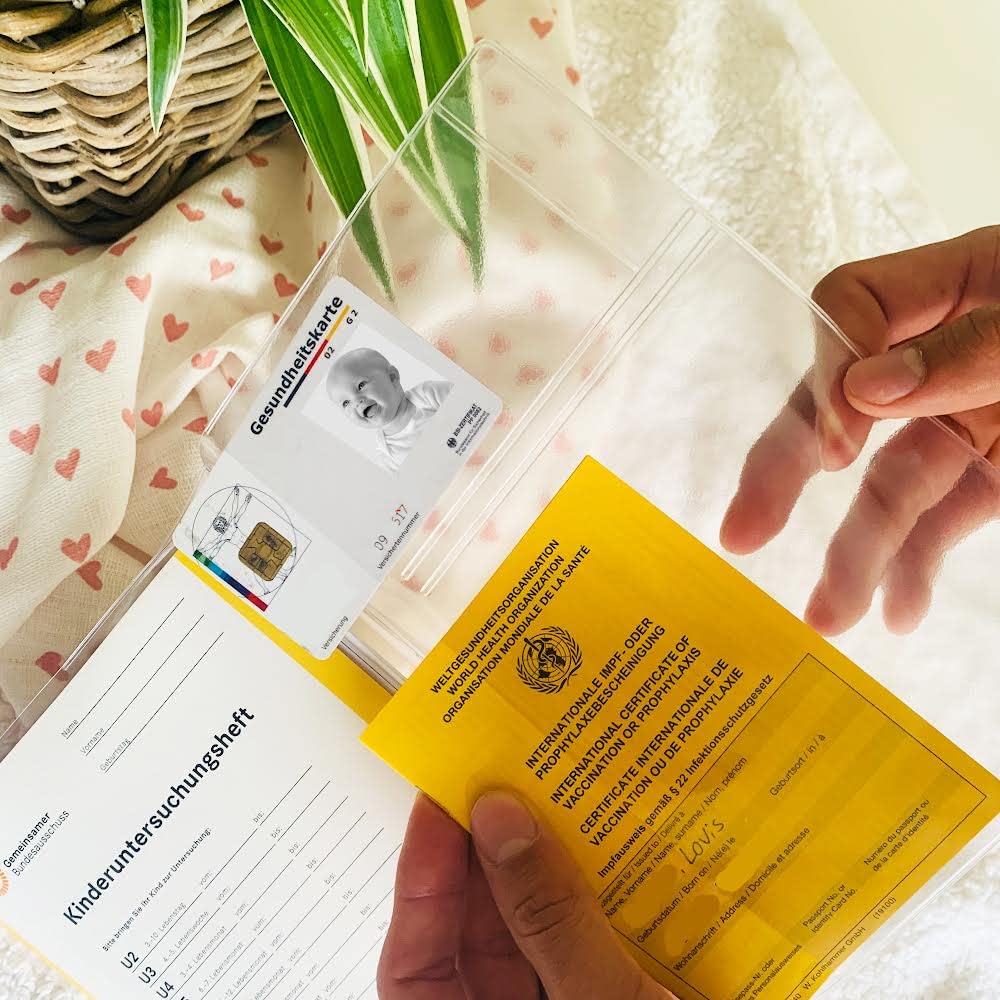 Lot de 3 housses de protection - Qualité supérieure - Protection des documents importants - Organza pour carnet d'examen - Naissance