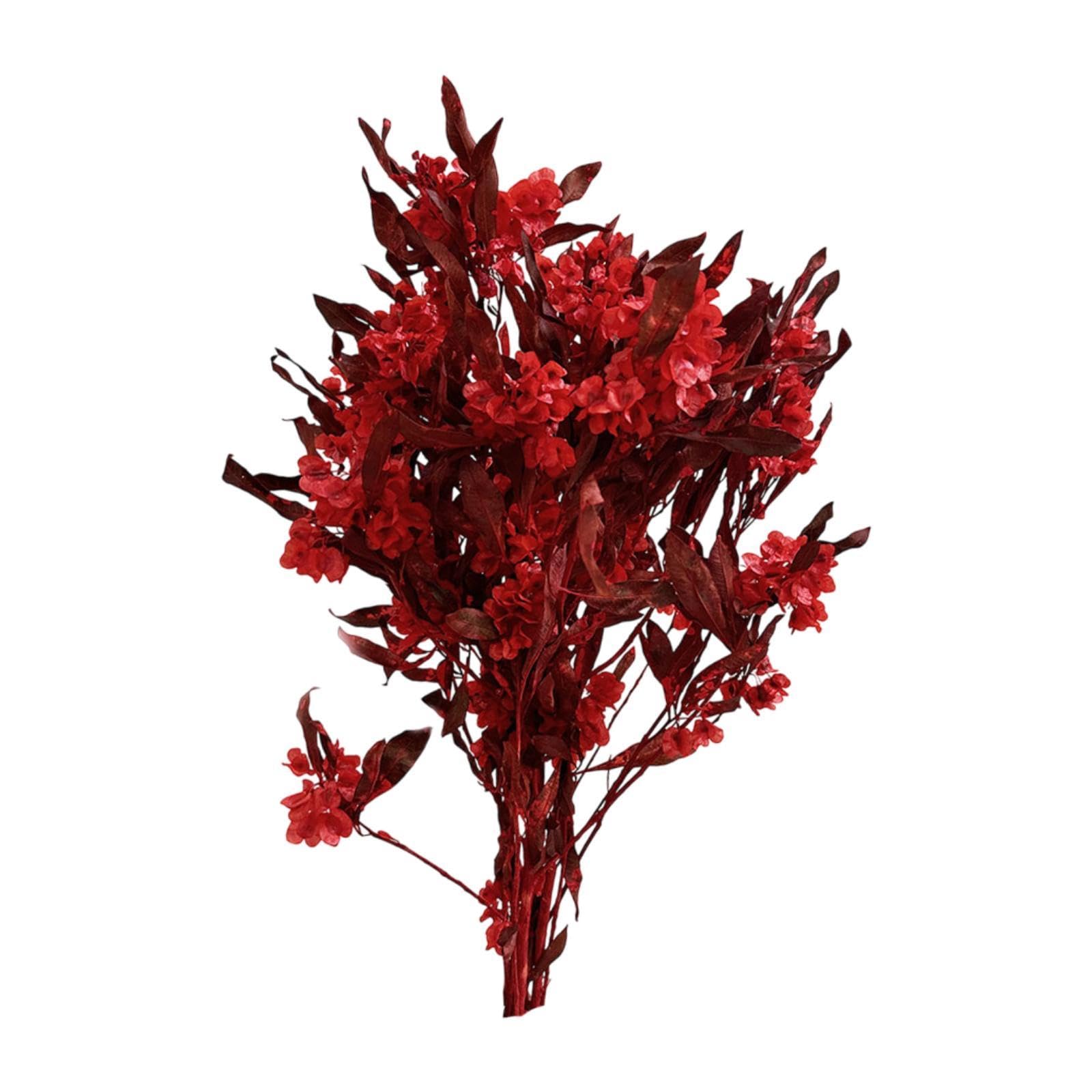 dried flower bouquet wedding party kitchen plant stem bunch dodonaea viscosa red|1 dried flower bouquet|dried flowers