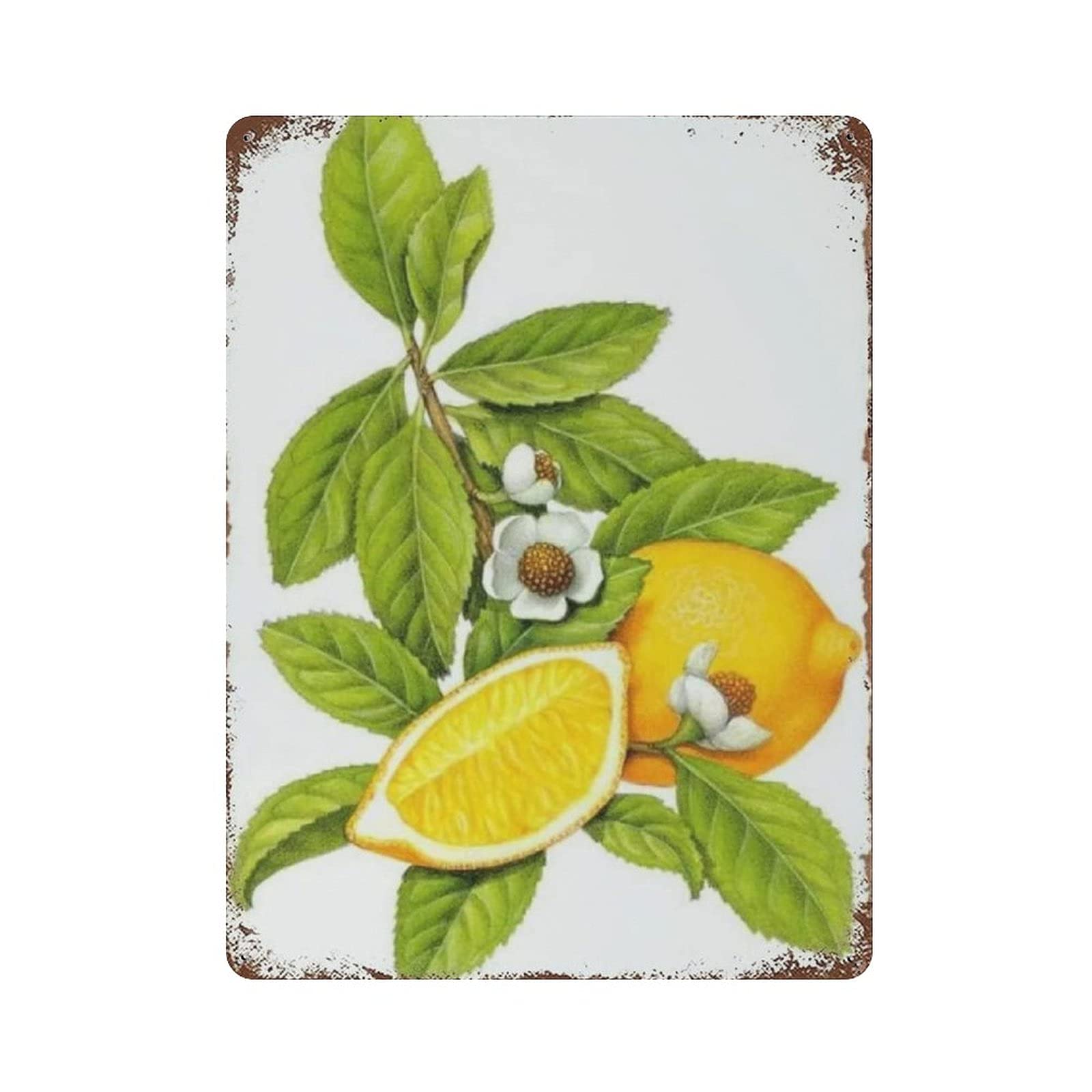 Metal Tin Sign Lemon Vintage Tin Poster Metal Sign Wall Decoration Country Kitchen Home Garage Decor 16"x12"