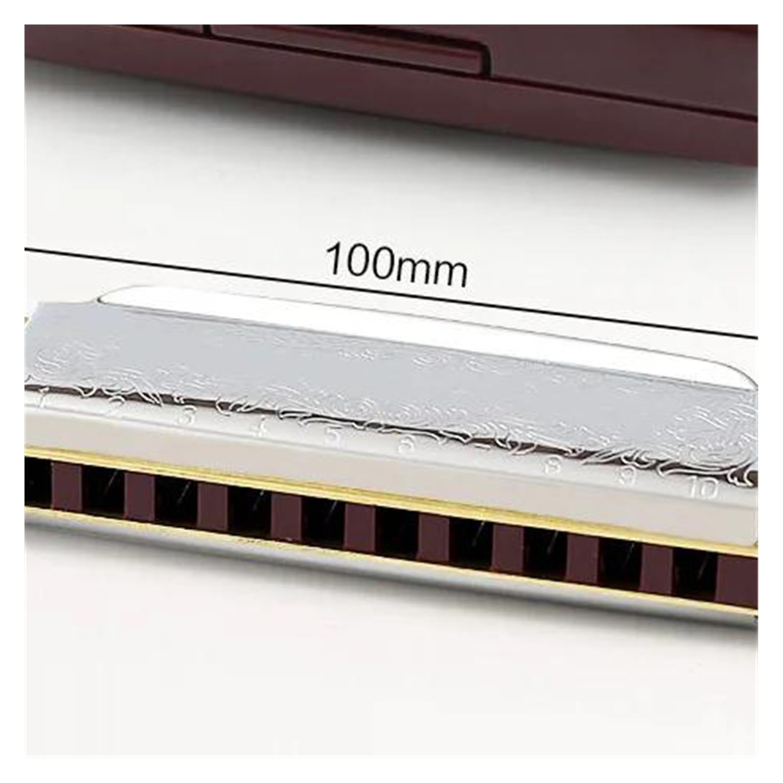 10 Hole Blues Harmonica gra klasy Blues C Key dla początkujący