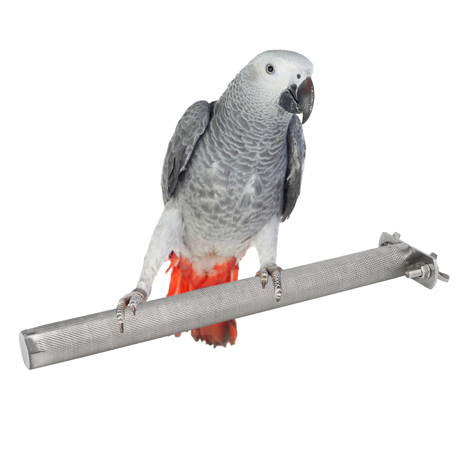 Hypeety Bird Parrot Stainless Steel Stand Perch Rod Bird Grinding Claws Parrot Scratching Stick Perch for Conure Cockatiel Parakeet Cage Accessories Exercise Stand (L: 11.79 * 0.98 inch)