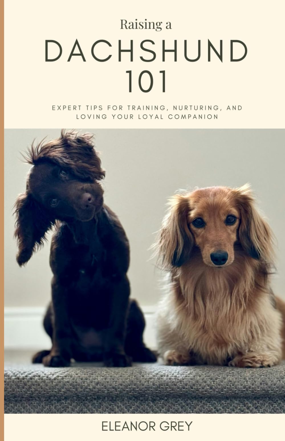 Raising a Dachshund 101: Expert Tips for Training, Nurturing, and Loving Your Loyal Companion (Man's Best Friend 101)