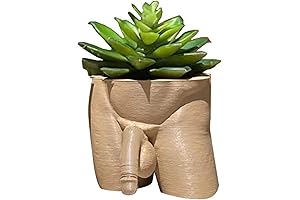 PENIS VASE: The Funniest Way to Display Your Plants