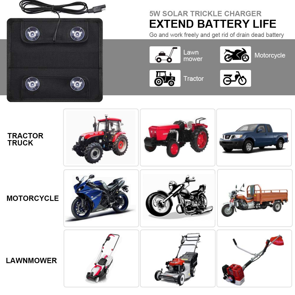 Buy ECOWORTHY 12 Volt 5 Watt Solar Trickle Charger for 12V Batteries