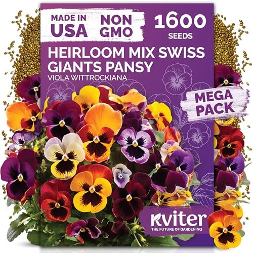 KVITER 1600 Swiss Giants Pansy Seeds For Planting (Viola wittrockiana) Mixed Colors Seed Packets Viola Edible Blooms Perennial Flower Seeds to Plant Outside Garden Seed Mix Containers Flower Beds