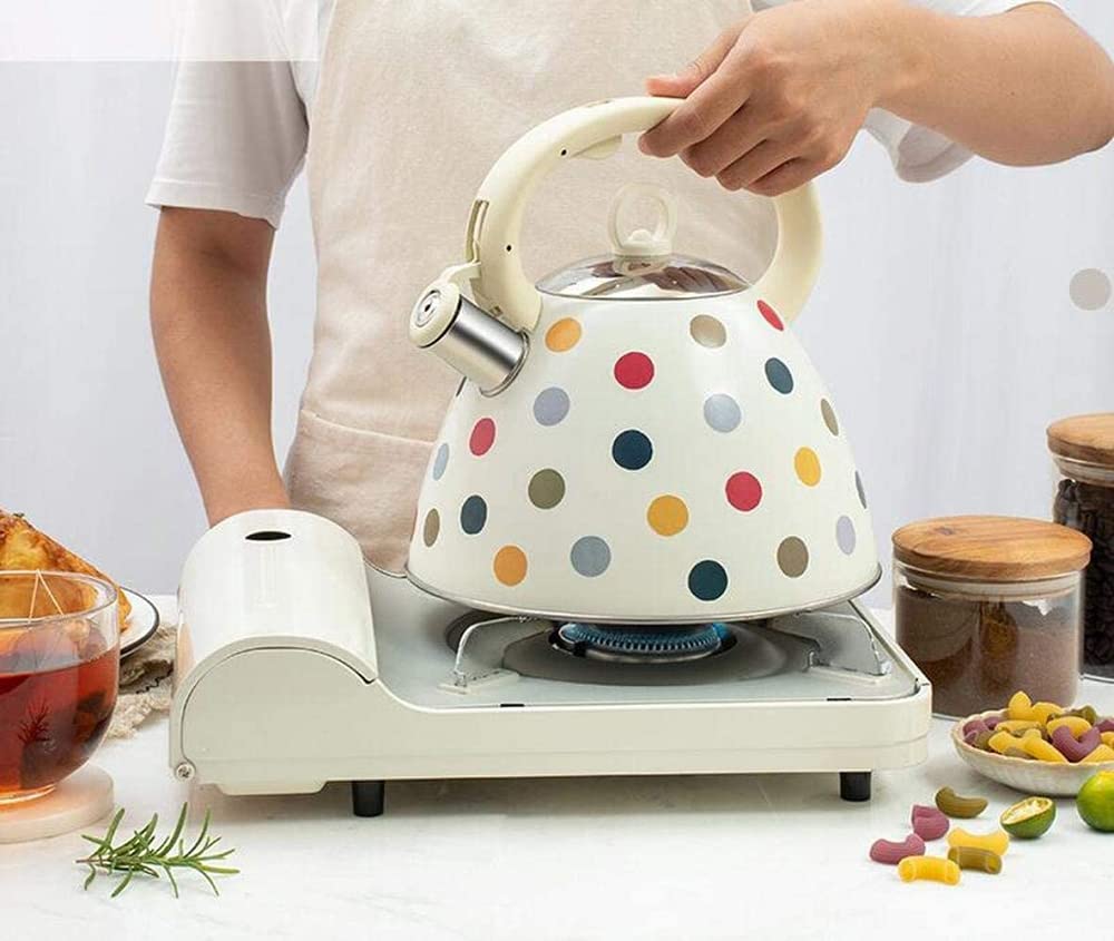 czajnik turystyczny, Czajnik kuchenny ze stali nierdzewnej z uchwytem zapobiegającym poparzeniom, do kuchenek gazowych i indukcyjnych, 3 l