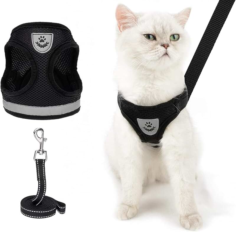 Amazon.ca Cat Harnesses