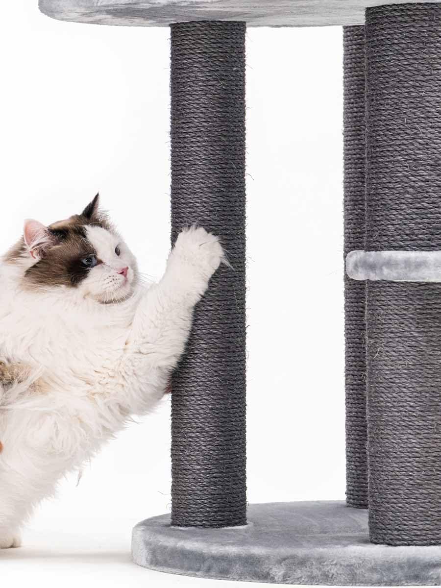 Petrebels Designerski drapak Isabella 170 cm, XXL drapak dla dużych kotów, Maine Coon, kolor szary