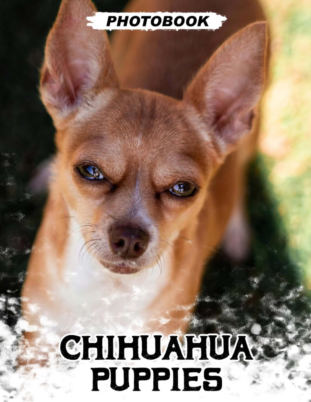 Chihuahua Puppies Photo Book: Tiny Toy Breed Puppy Images Showcasing Playful Attitude And Adorable Small Size In Sweet Pet Photography