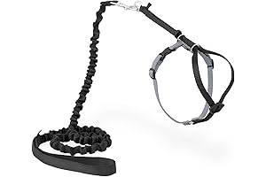PetSafe Come with Me Kitty Harness and Bungee Leash for Adventurous Cats