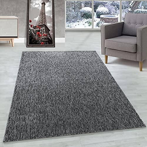 Carpettex Teppich Tapis à Poil Ras Tapis de Salon marbré Brillant Hauteur de 4 mm Gris, Couleur:Gris, Dimension:140x200 cm Cover