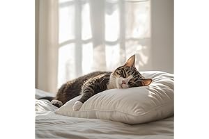 Double Stitch Soft Tencel Pillow: Experience the Coolest, Most Comfortable Sleep of Your Life