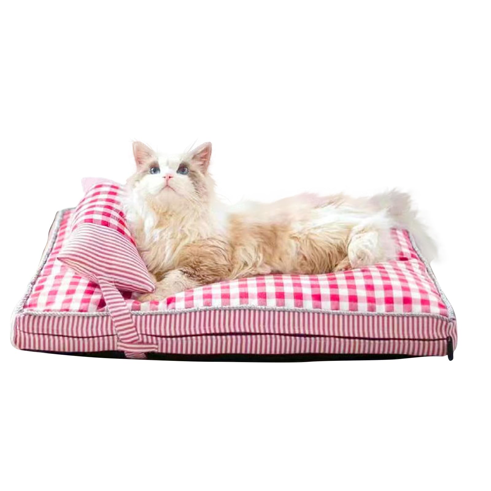 PETCUTE Cama Perro Ortopédica,Colchón Perro Lavable con Funda Desenfundable,Sofá Cama Transpirable para Mascotas con Fondo Antideslizante,Cama para Perros Grandes/Medianos/Pequeños Suave y Cómoda